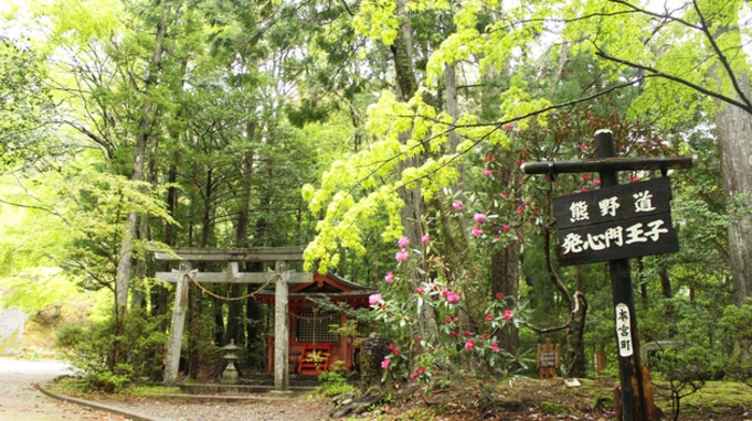 【素泊まり】1日1組限定！2連泊10％OFF！熊野古道近くの古民家で悠久の時を過ごすしたい方に◎